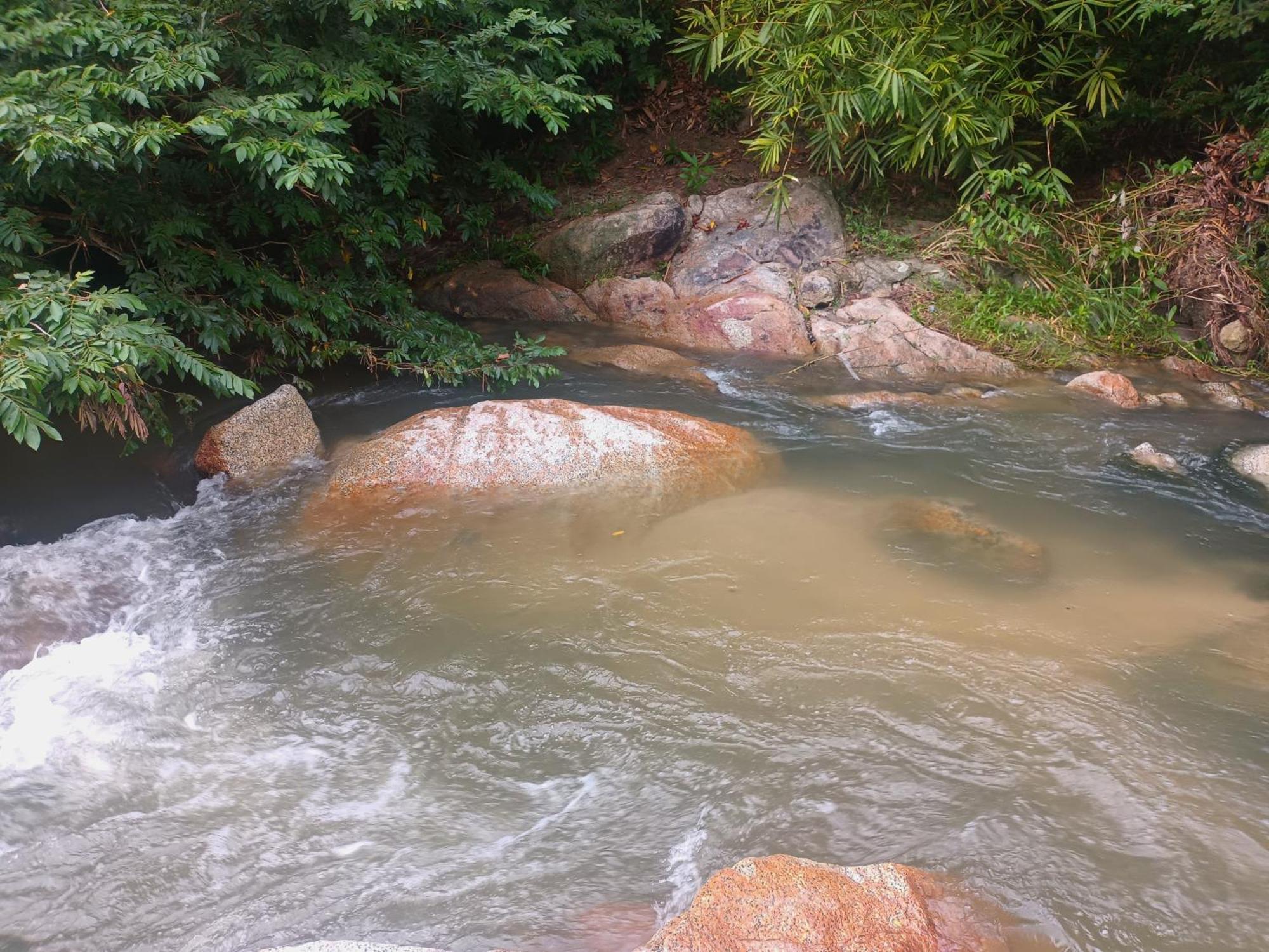 Sierra Tayrona Hostel Ел Заино Екстериор снимка