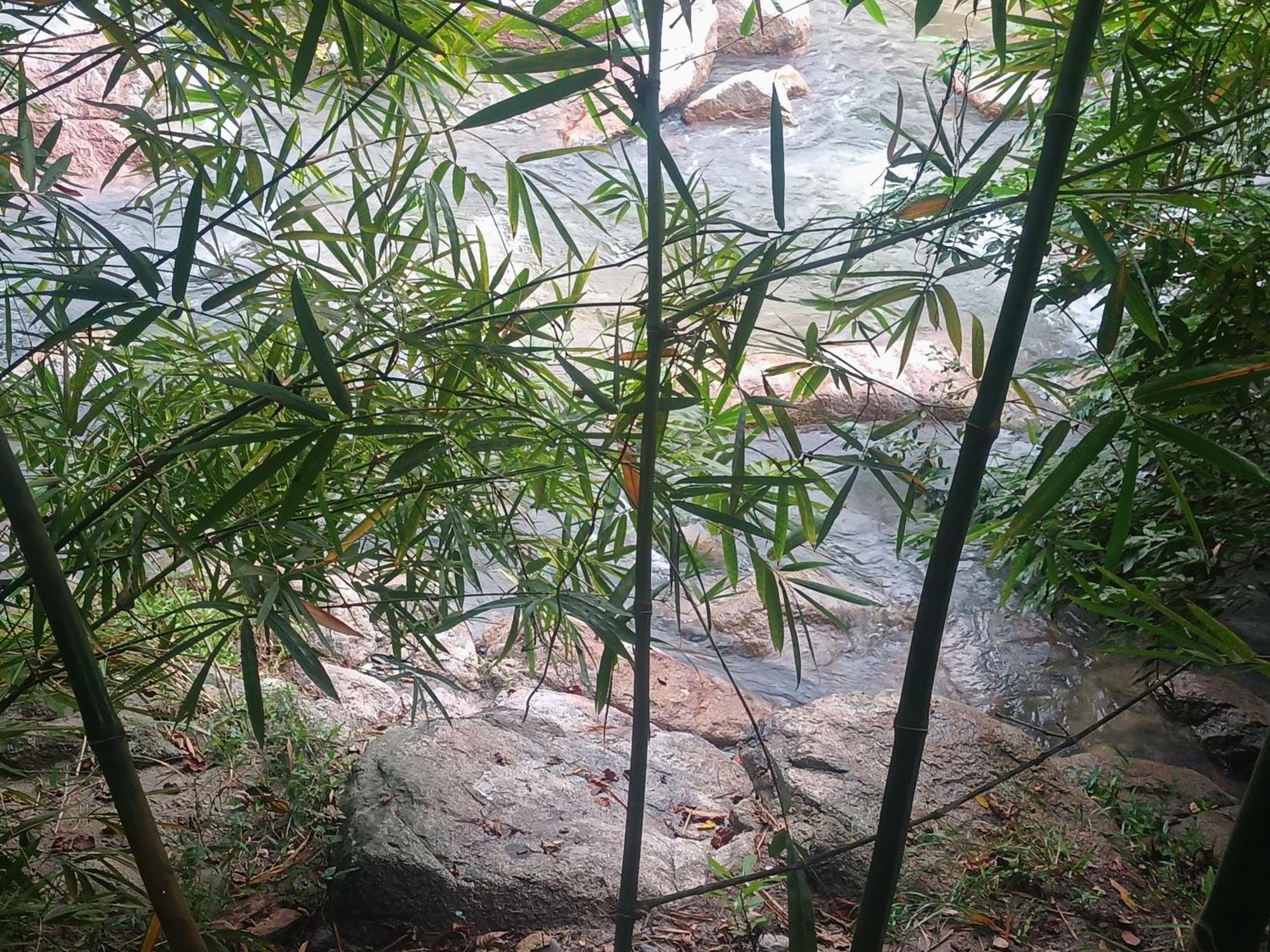 Sierra Tayrona Hostel Ел Заино Екстериор снимка