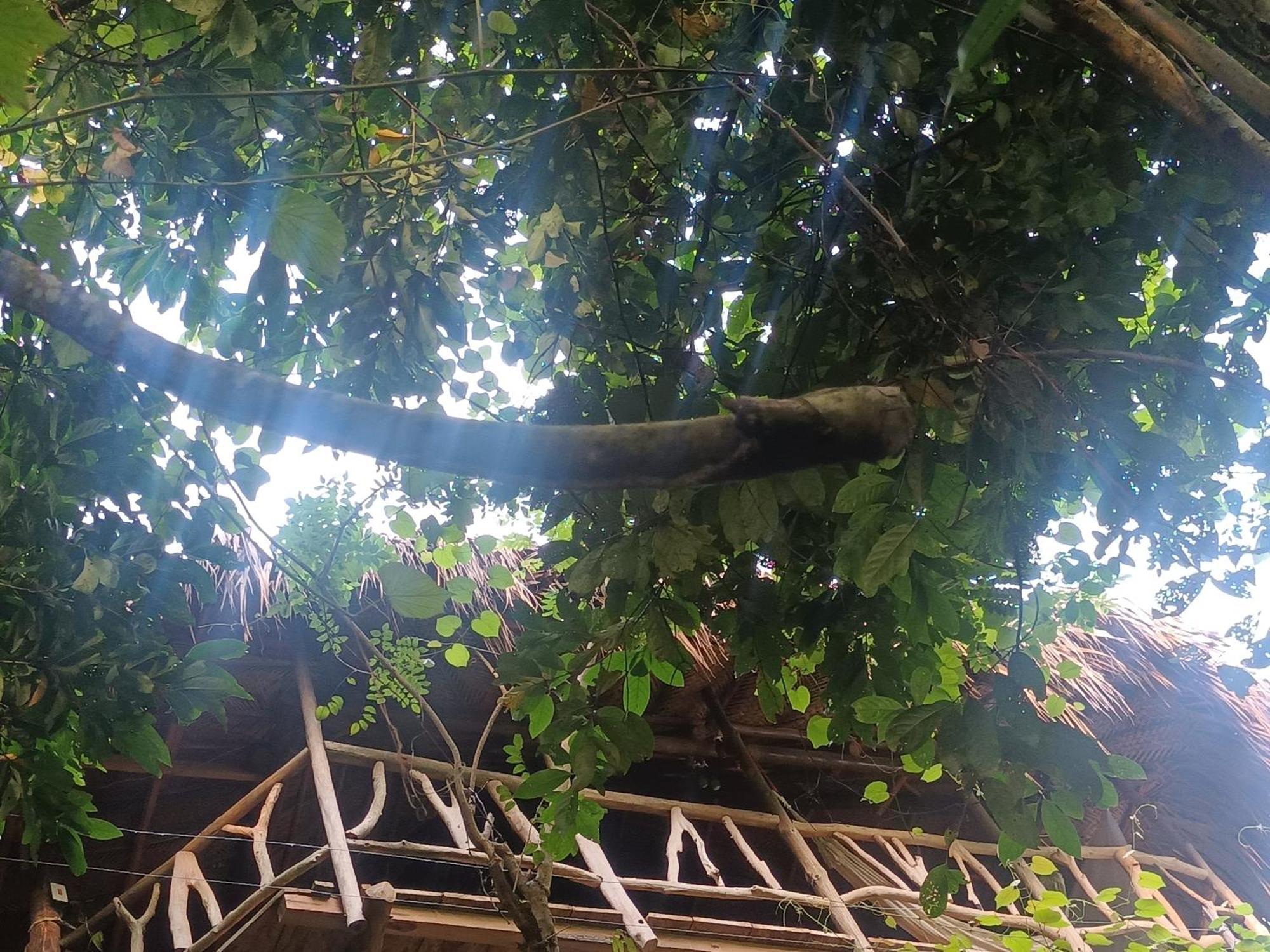 Sierra Tayrona Hostel Ел Заино Екстериор снимка