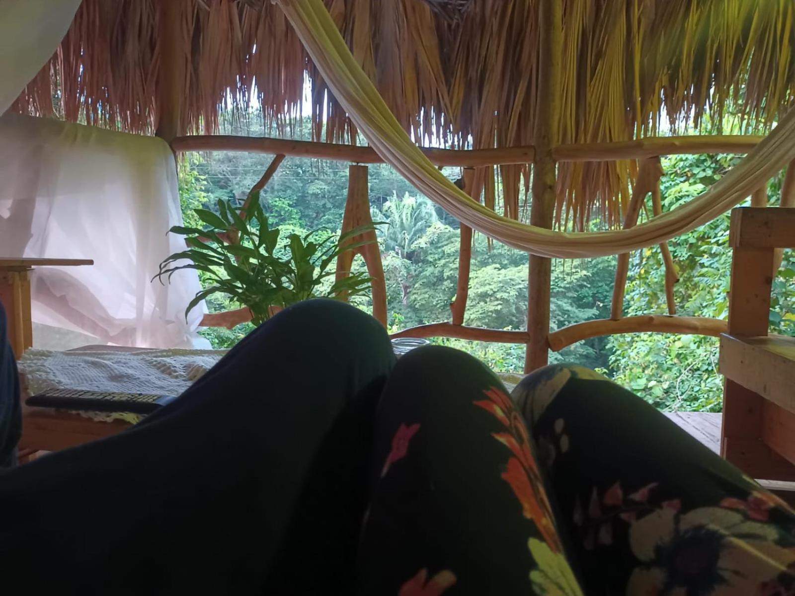 Sierra Tayrona Hostel Ел Заино Екстериор снимка