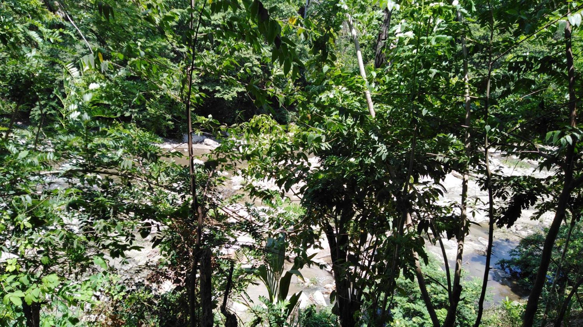 Sierra Tayrona Hostel Ел Заино Екстериор снимка