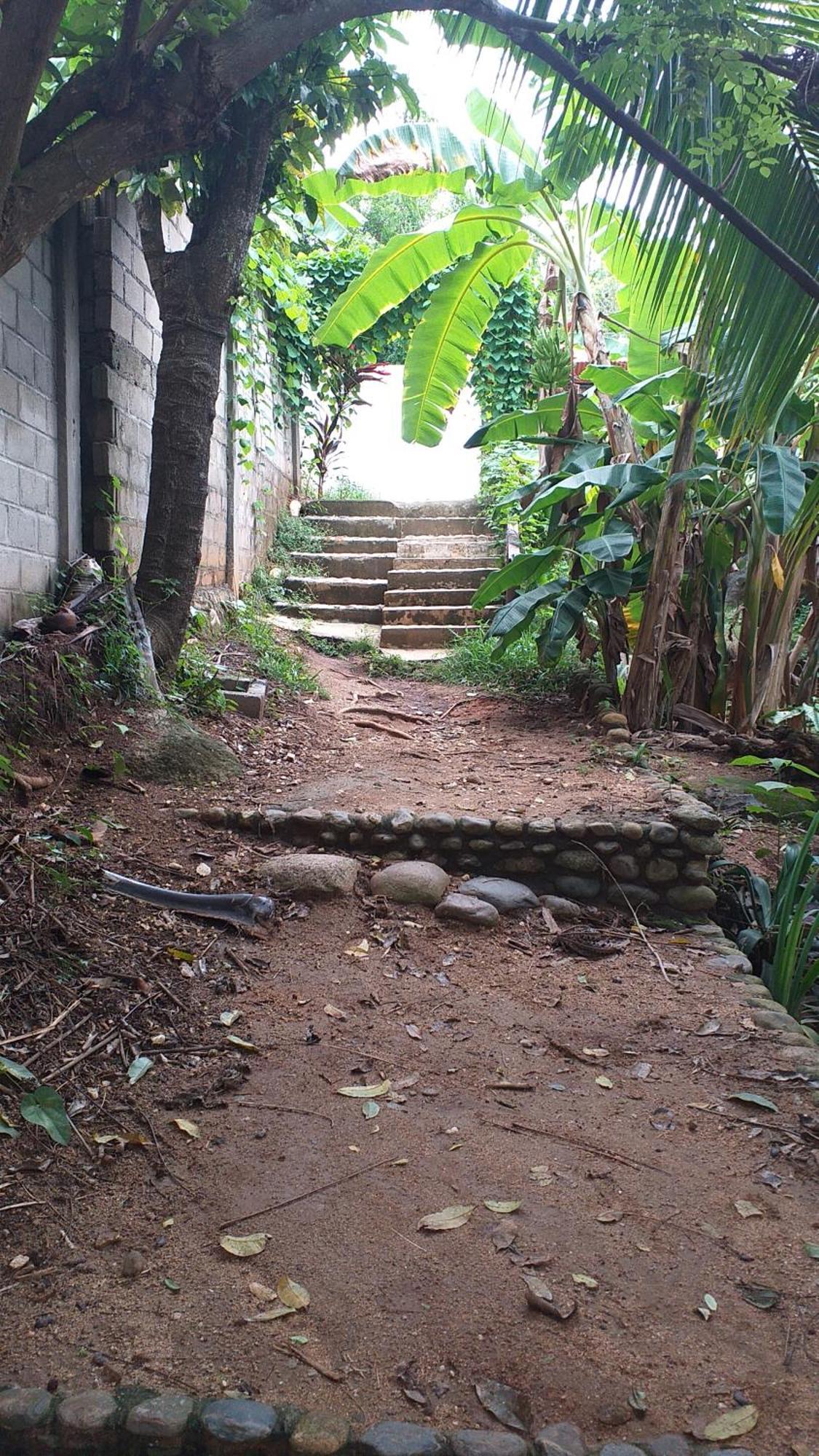 Sierra Tayrona Hostel Ел Заино Екстериор снимка