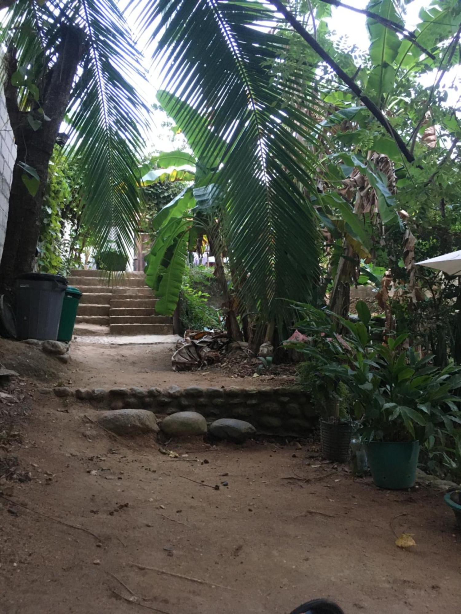 Sierra Tayrona Hostel Ел Заино Екстериор снимка